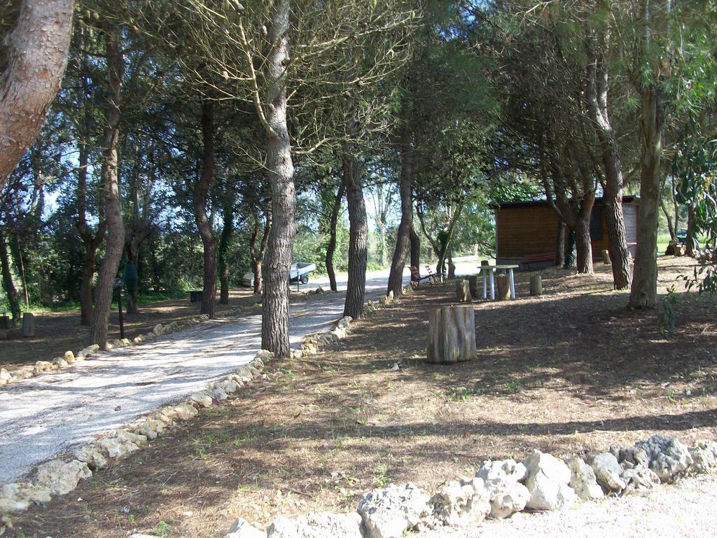 Appartamenti Turistici Aprile Antonio Luigi 보르가네 외부 사진