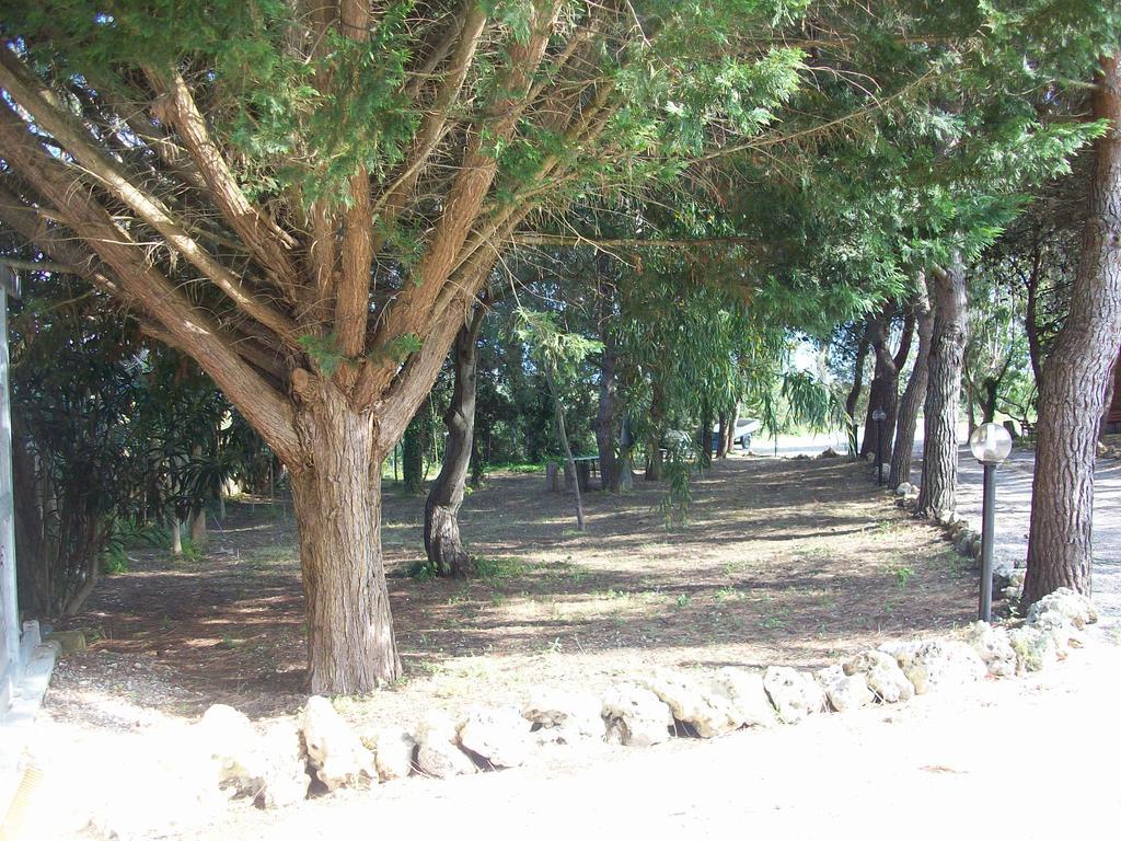 Appartamenti Turistici Aprile Antonio Luigi 보르가네 외부 사진