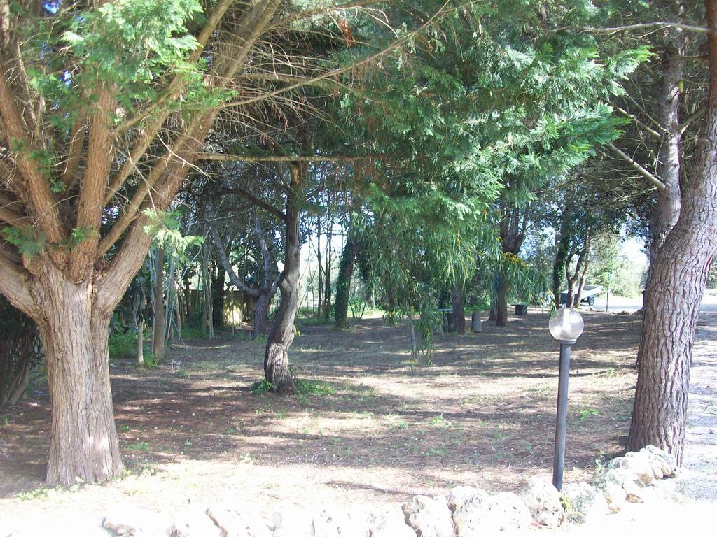 Appartamenti Turistici Aprile Antonio Luigi 보르가네 외부 사진